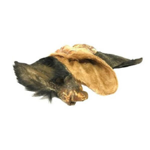 Cow Ear, Hairy