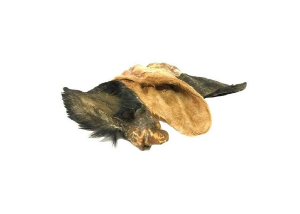 Cow Ear, Hairy