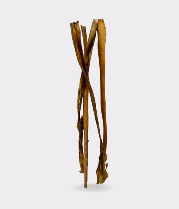 XXL Camel Skin 50cm