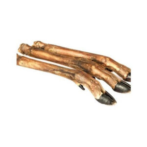 Deer Leg, Roe