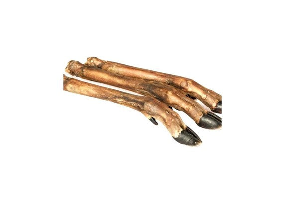 Deer Leg, Roe