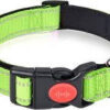Dog Collar