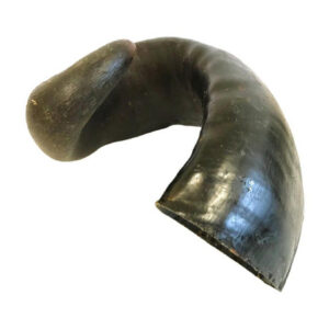 XL Buffalo Horn