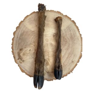 Deer Leg, Fallow