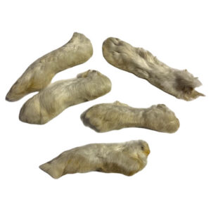 Rabbit Feet with Fur